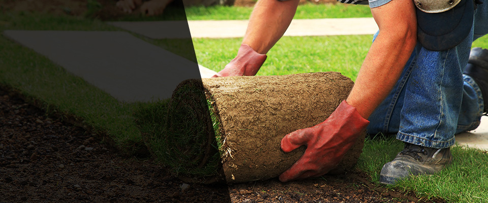 Ville Platte Landscapers